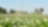 Gaswinningslocatie in landschap