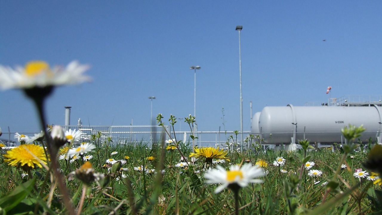 Gaswinning uit het Groningen-gasveld veroorzaakt bodemdaling