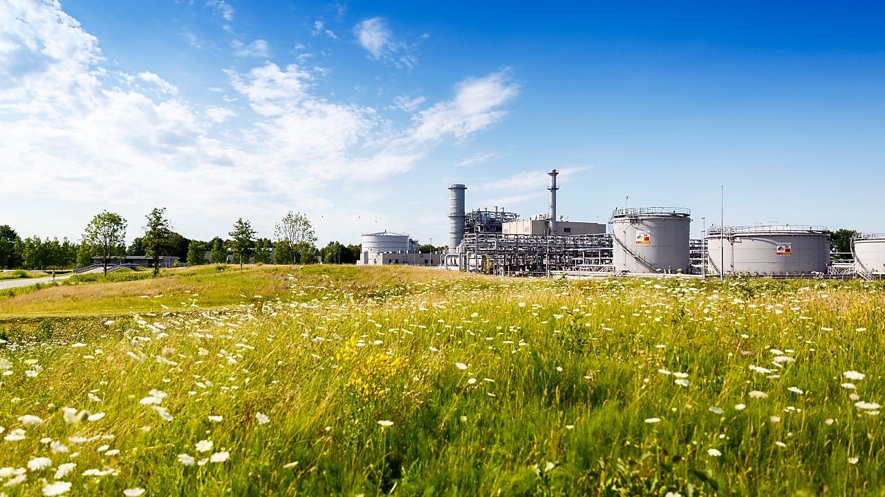 Groene weidemet witte bloemen en in de achtergrond winningslocatie Schoonebeek