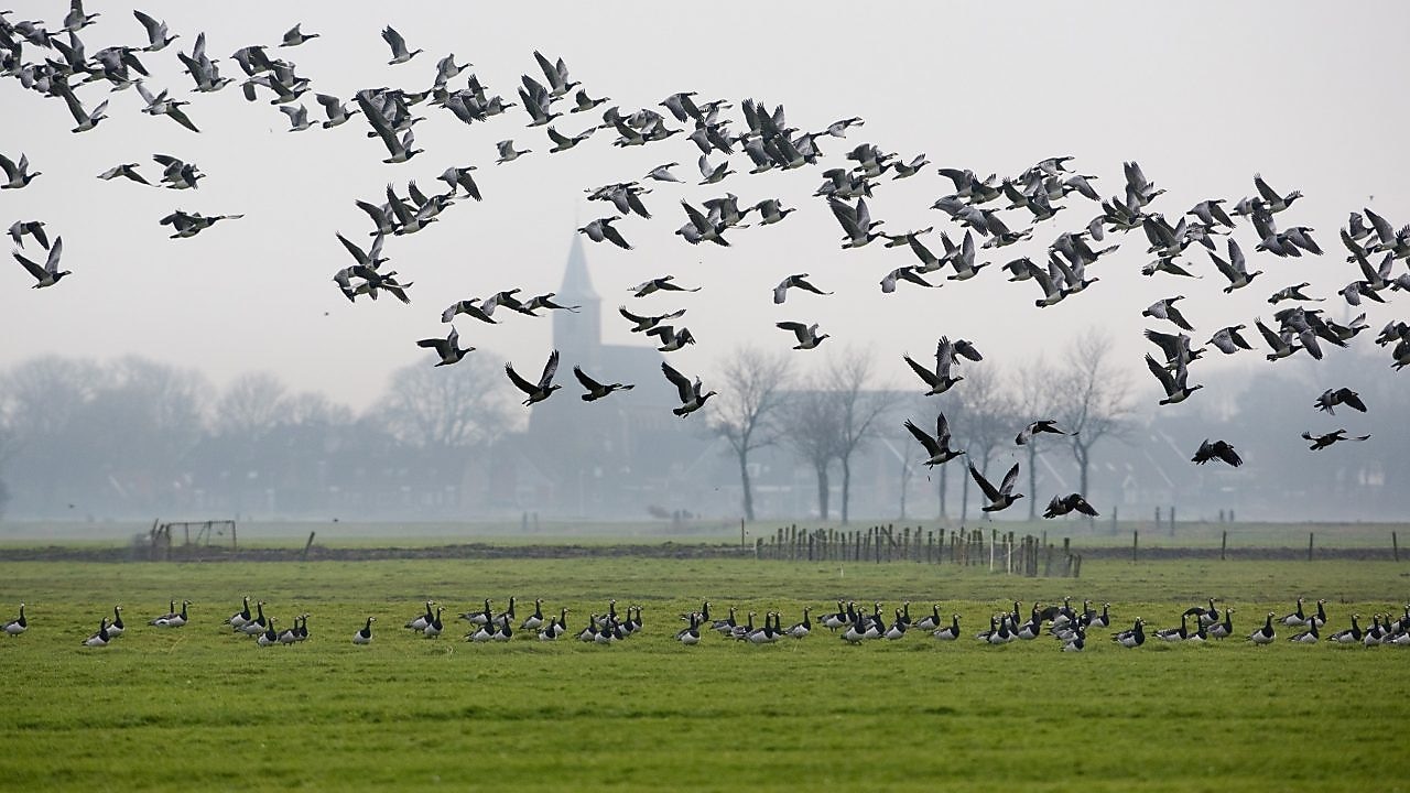 Een meisje houdt een slakkenhuis achter een vergrootglas