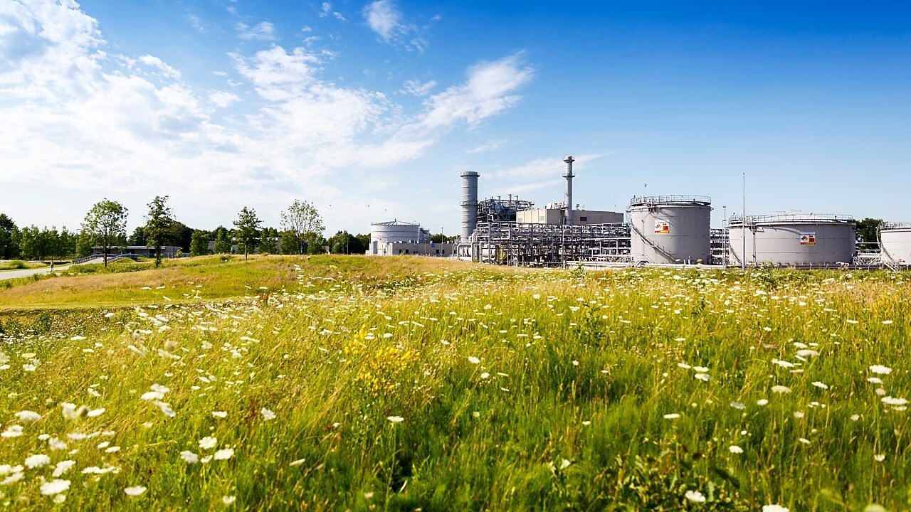 Groene weidemet witte bloemen en in de achtergrond winningslocatie Schoonebeek