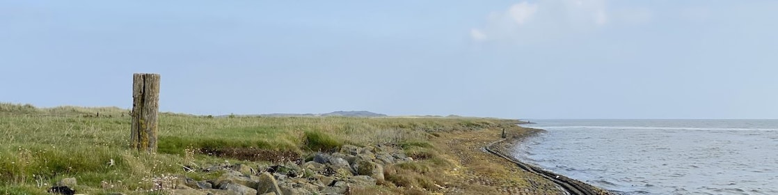 Ameland kustlijn