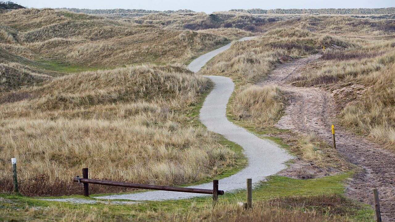 Fietspad door de duinen