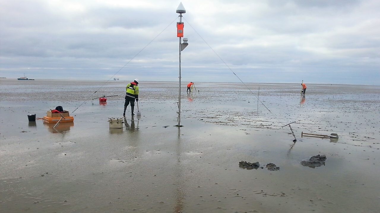 Medewerkers aan het werk op het wad