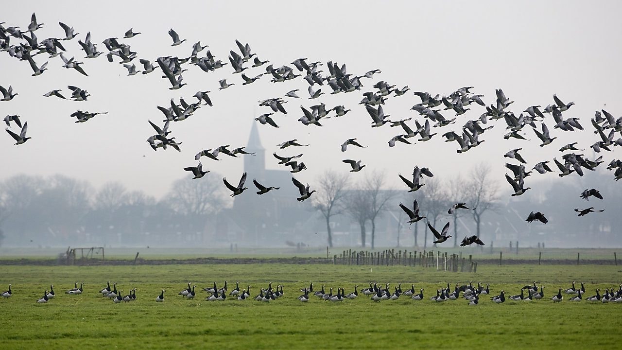 Een meisje houdt een slakkenhuis achter een vergrootglas