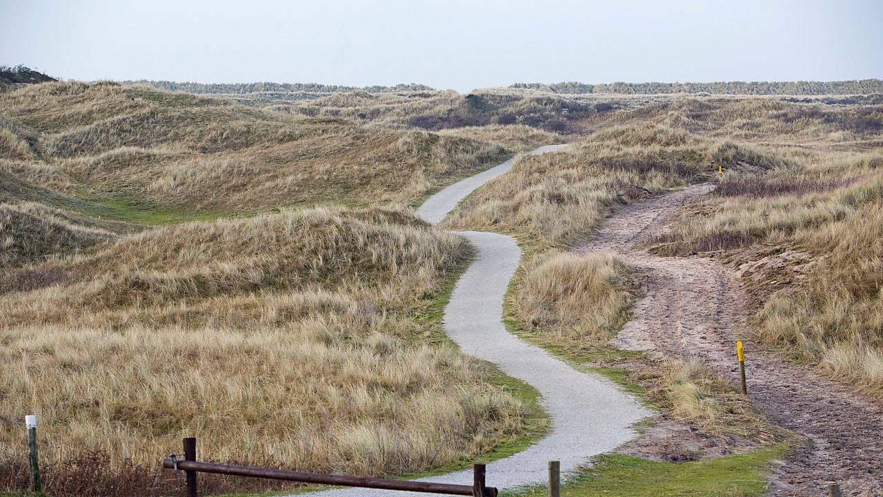 Fietspad door de duinen