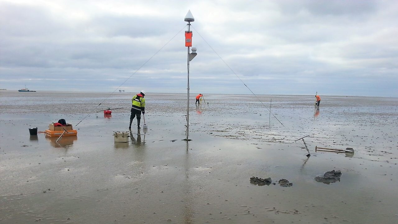 Medewerkers aan het werk op het wad
