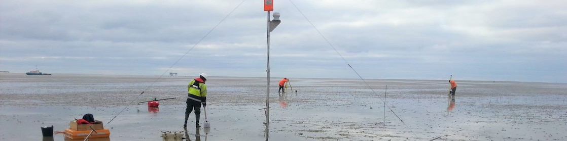 Medewerkers aan het werk op het wad