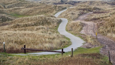 Fietspad door de duinen