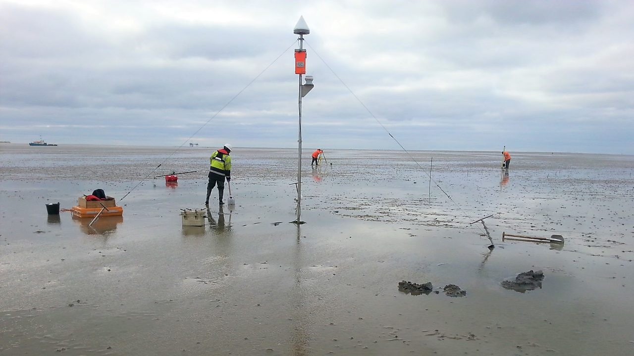 Medewerkers aan het werk op het wad