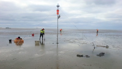Medewerkers aan het werk op het wad