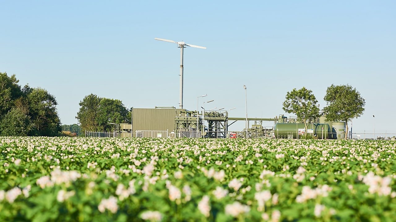 Fietspad door de duinen