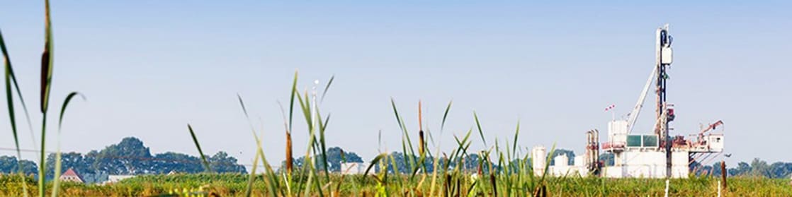 Rietkraag met in de verte een gaswinningslocatie