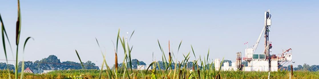 Rietkraag met in de verte een gaswinningslocatie