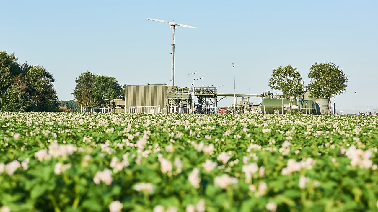 Fietspad door de duinen