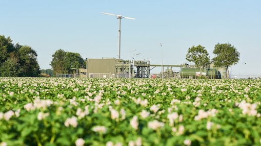 Fietspad door de duinen