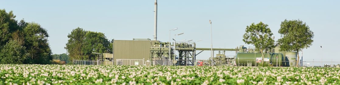 Fietspad door de duinen