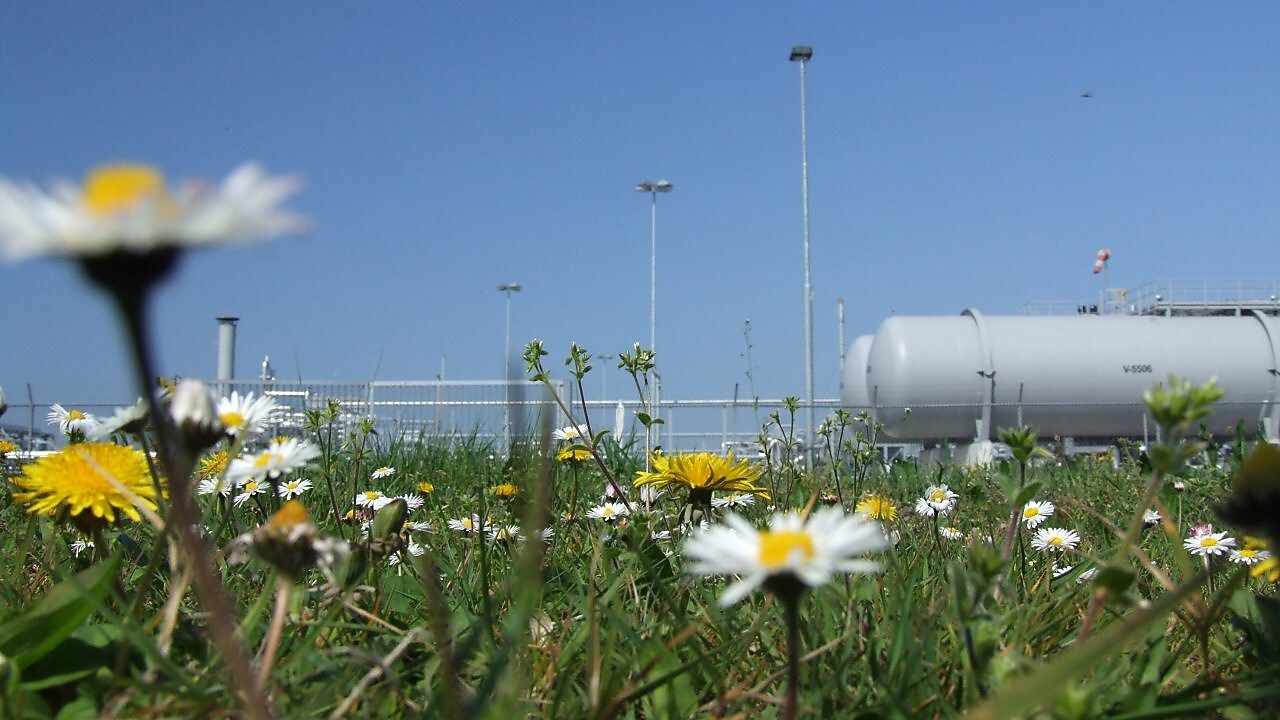 Gaswinning uit het Groningen-gasveld veroorzaakt bodemdaling.