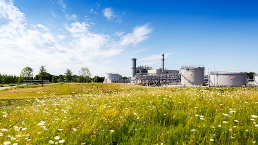 Groene weidemet witte bloemen en in de achtergrond winningslocatie Schoonebeek