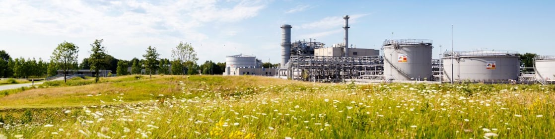 Groene weidemet witte bloemen en in de achtergrond winningslocatie Schoonebeek