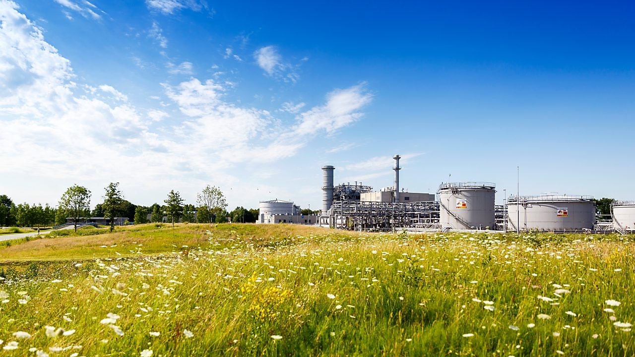 Groene weidemet witte bloemen en in de achtergrond winningslocatie Schoonebeek
