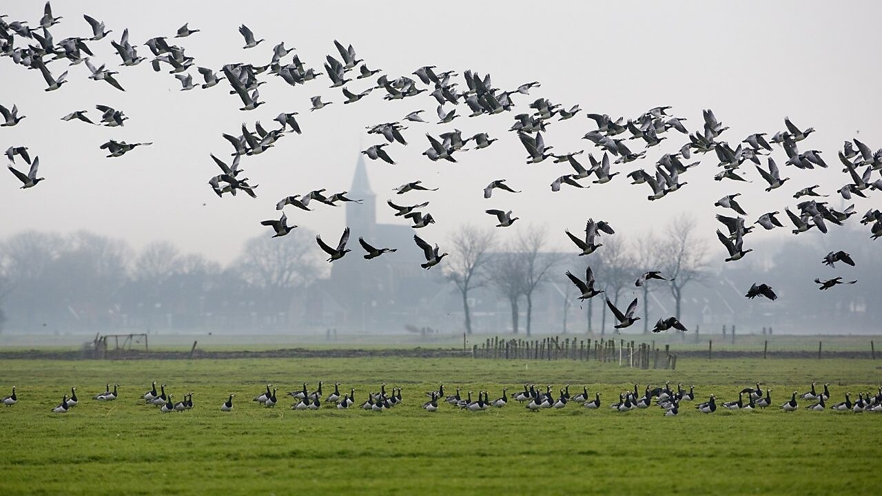 Een meisje houdt een slakkenhuis achter een vergrootglas