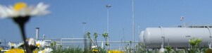 Gaswinning uit het Groningen-gasveld veroorzaakt bodemdaling.