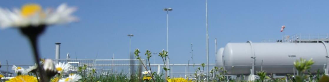 Gaswinning uit het Groningen-gasveld veroorzaakt bodemdaling.