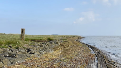 Ameland kustlijn