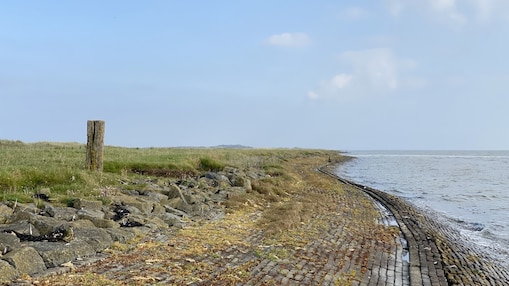 Wadden