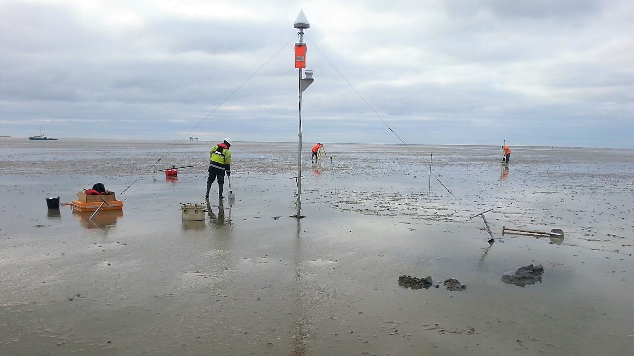 Medewerkers kijken naar een rij monitoren