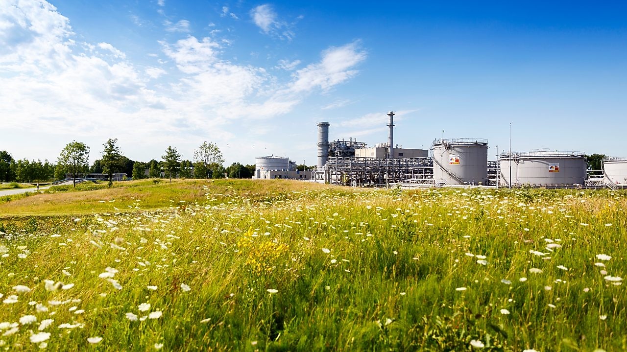 Groene weidemet witte bloemen en in de achtergrond winningslocatie Schoonebeek