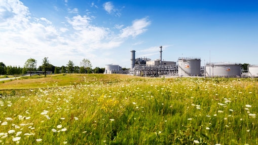 Groene weidemet witte bloemen en in de achtergrond winningslocatie Schoonebeek